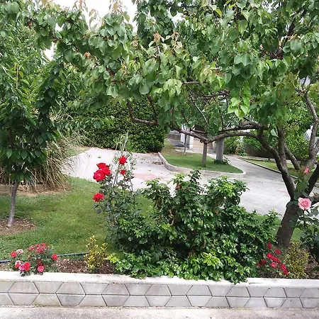 Apartament Zilic *